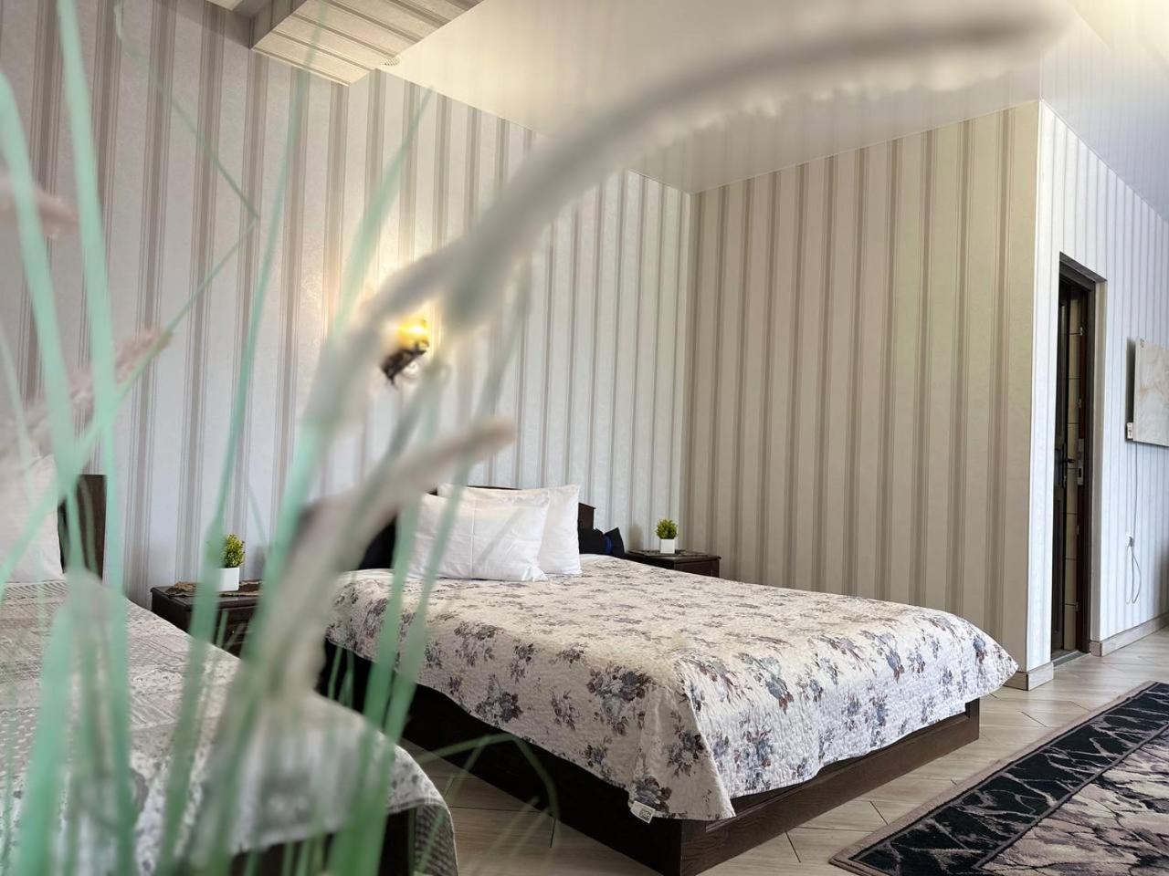 Illara Spa Hotel Irshava Extérieur photo