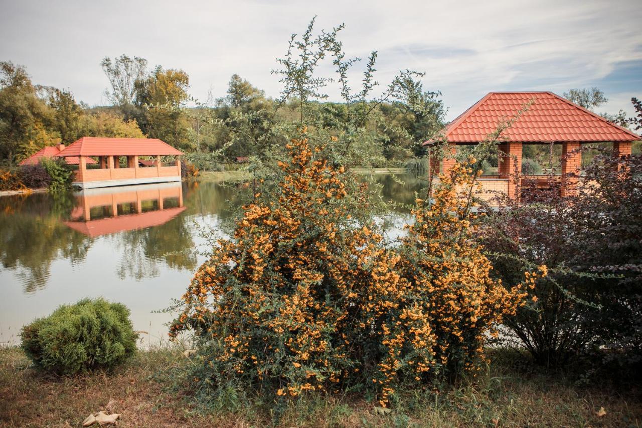 Illara Spa Hotel Irshava Extérieur photo